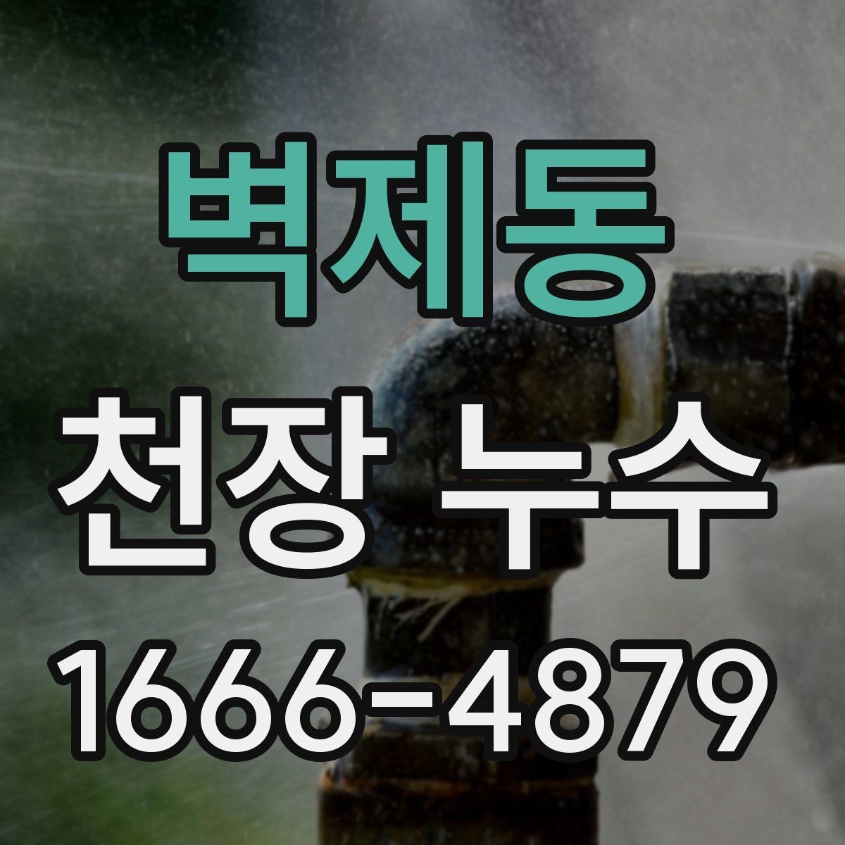 벽제동 천장 누수 천장에 물이 떨어질 때 응급 조치 순서