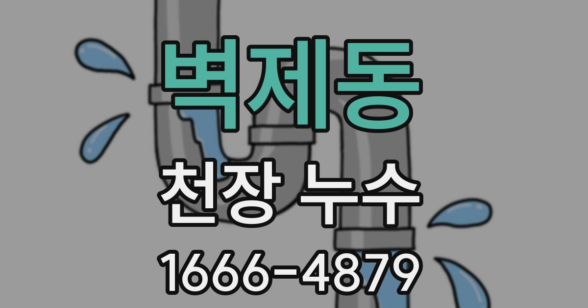 벽제동 천장 누수