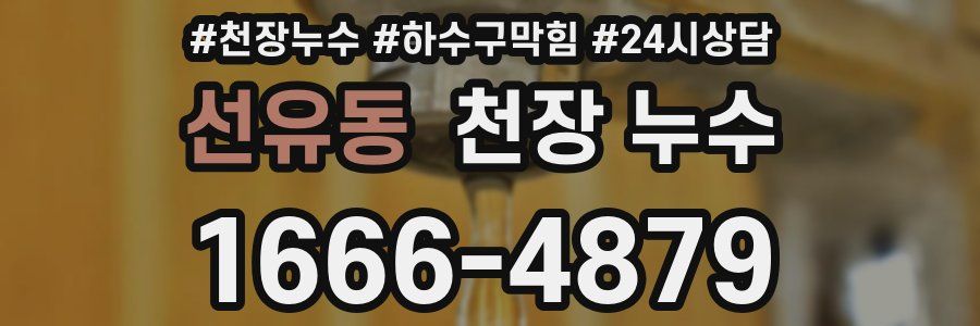 선유동 천장 누수