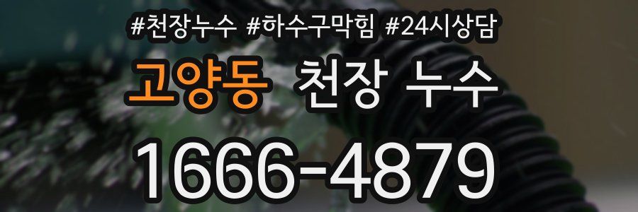 고양동 천장 누수