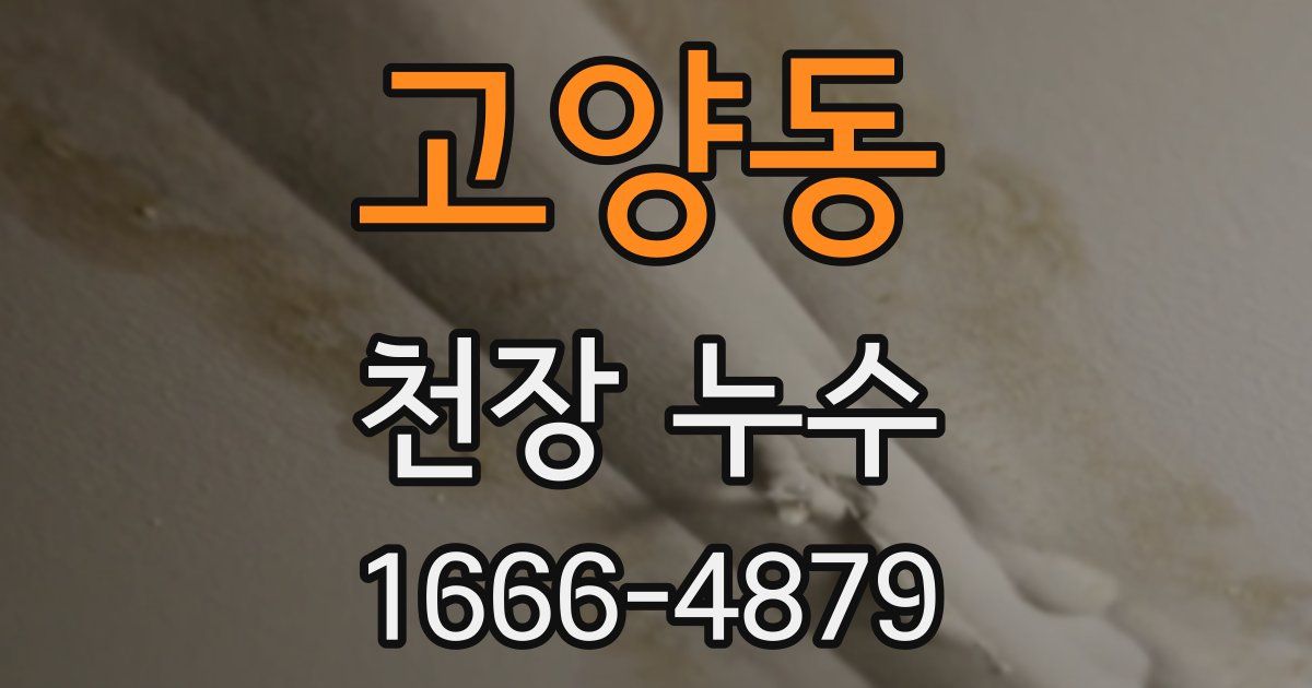 고양동 천장 누수