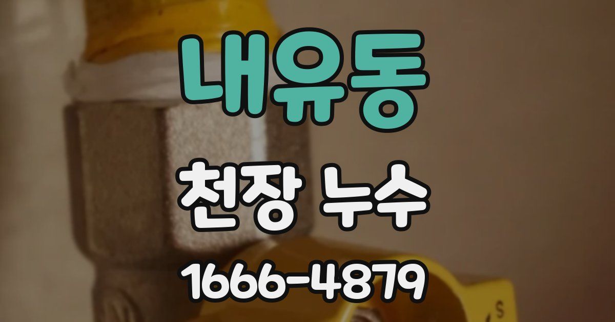 내유동 천장 누수