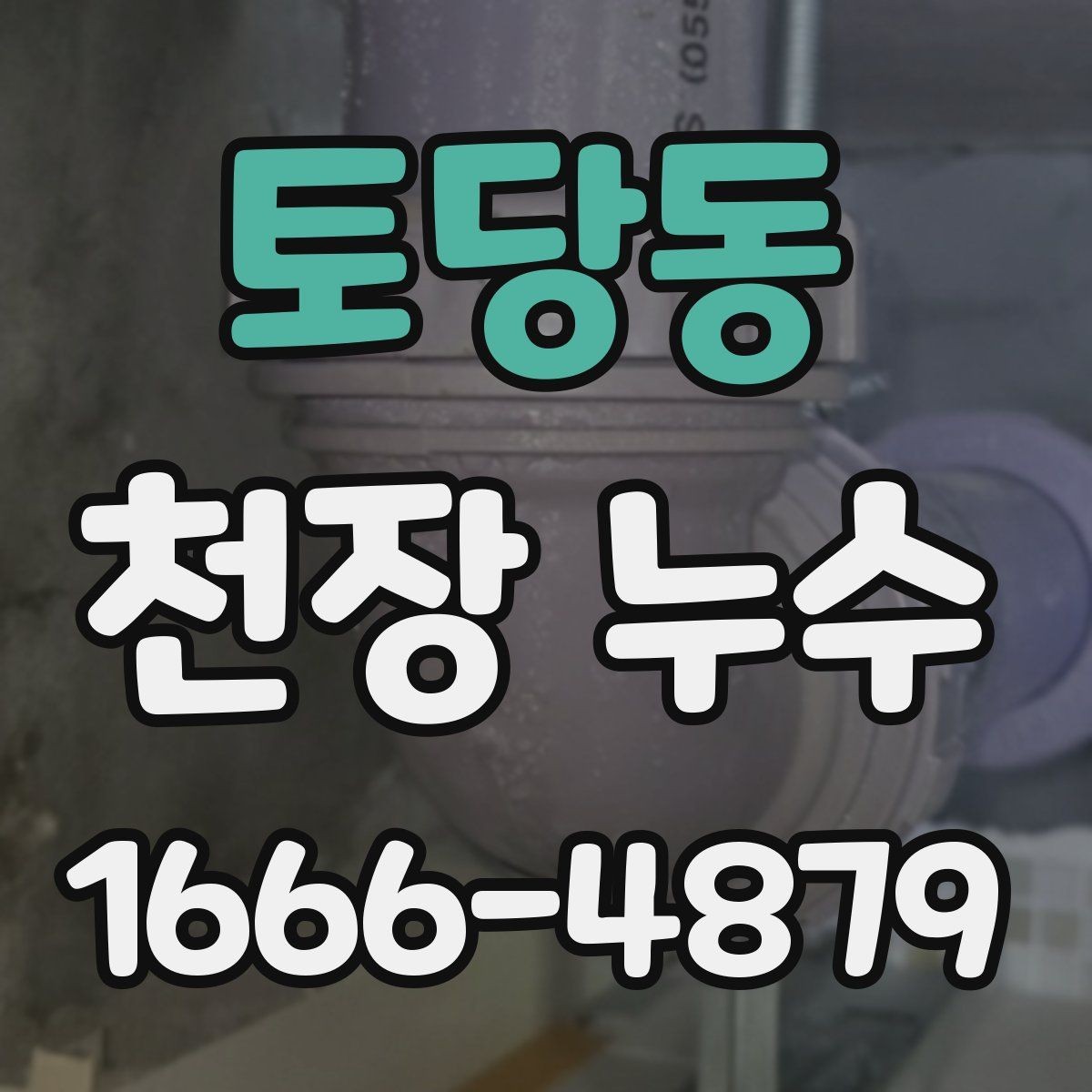 토당동 천장 누수 천장에 물방울이 맺히면 바로 점검해야 합니다