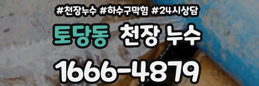 토당동 천장 누수