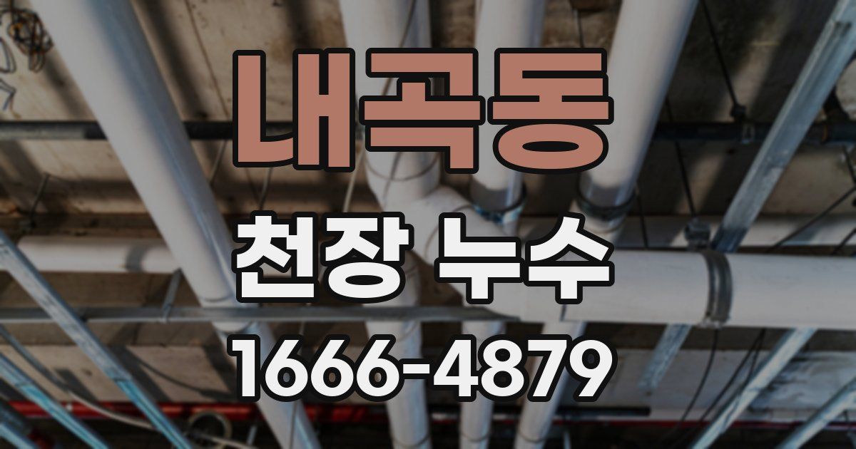 내곡동 천장 누수