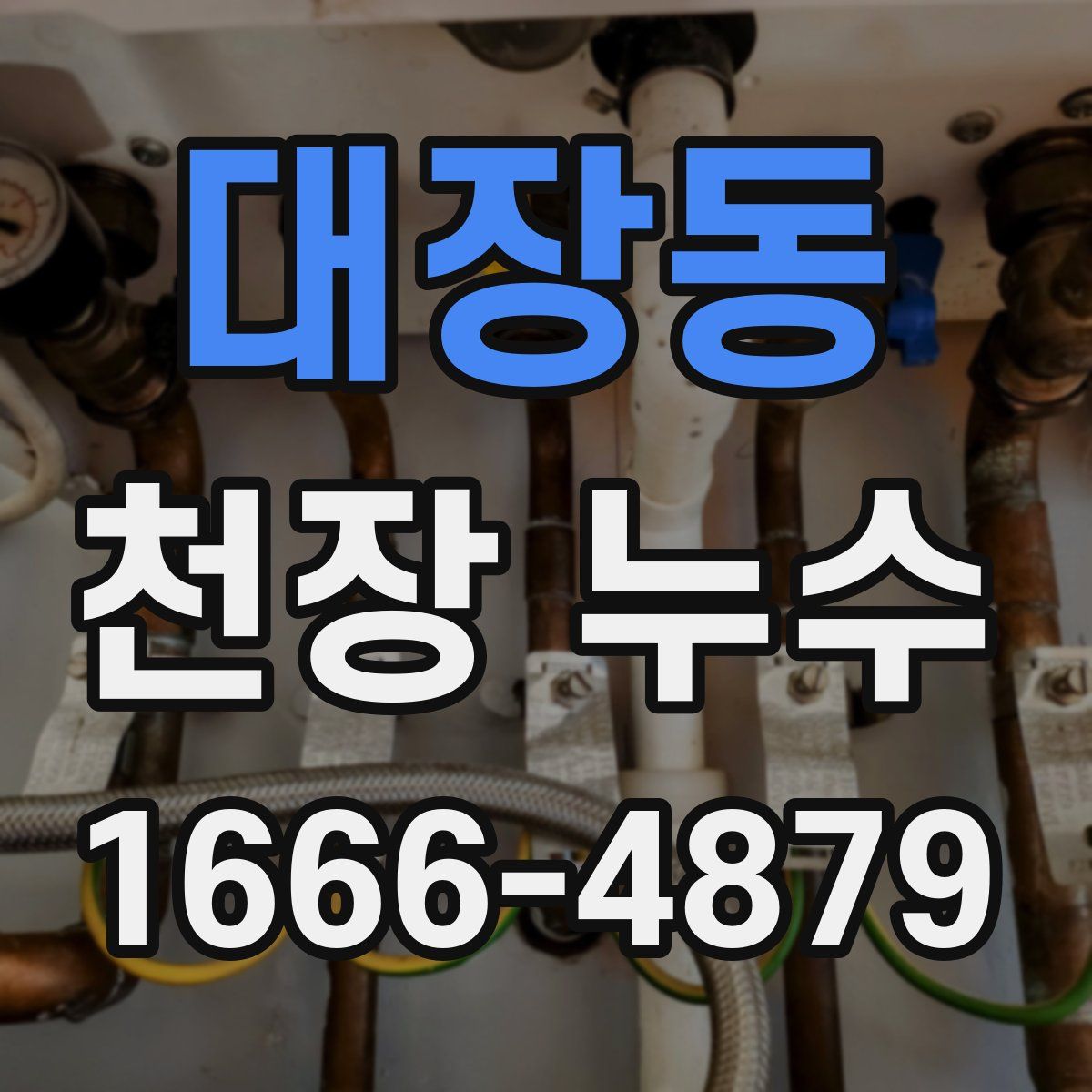 대장동 천장 누수