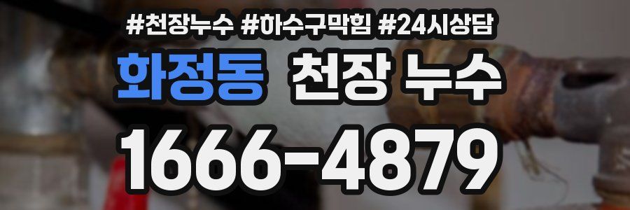 화정동 천장 누수