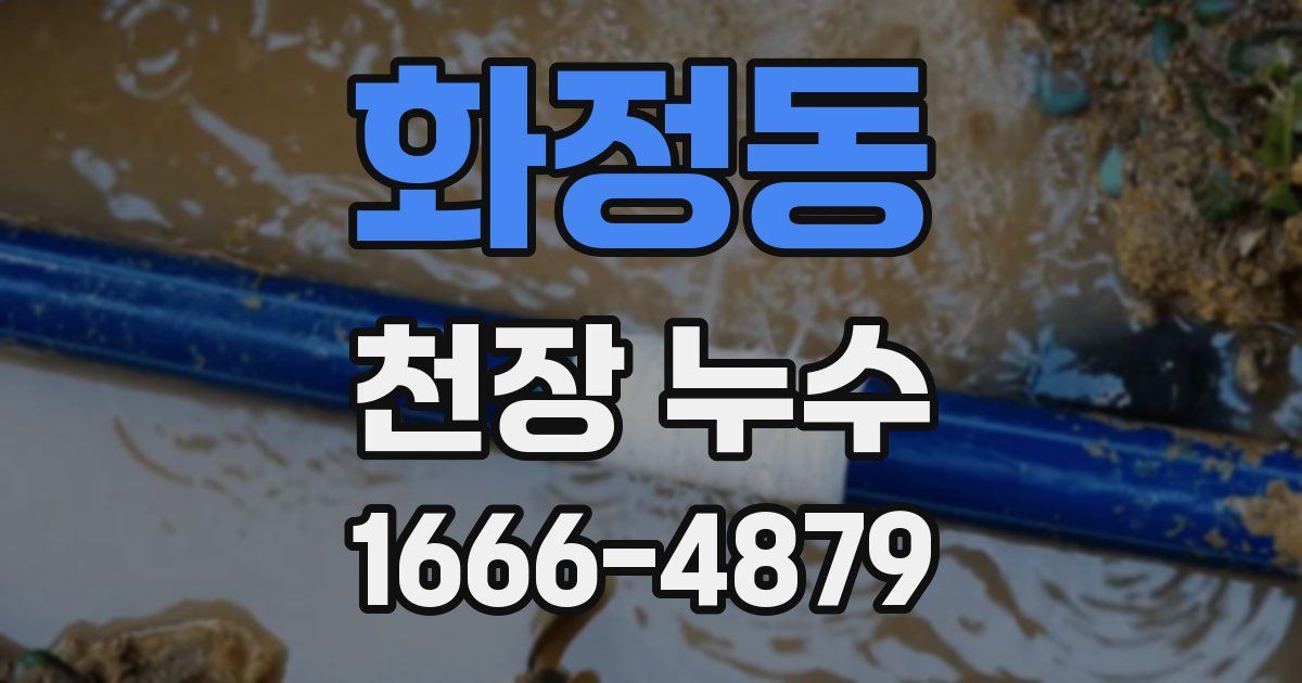 화정동 천장 누수