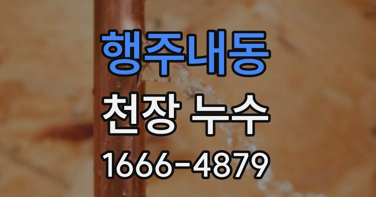 행주내동 천장 누수