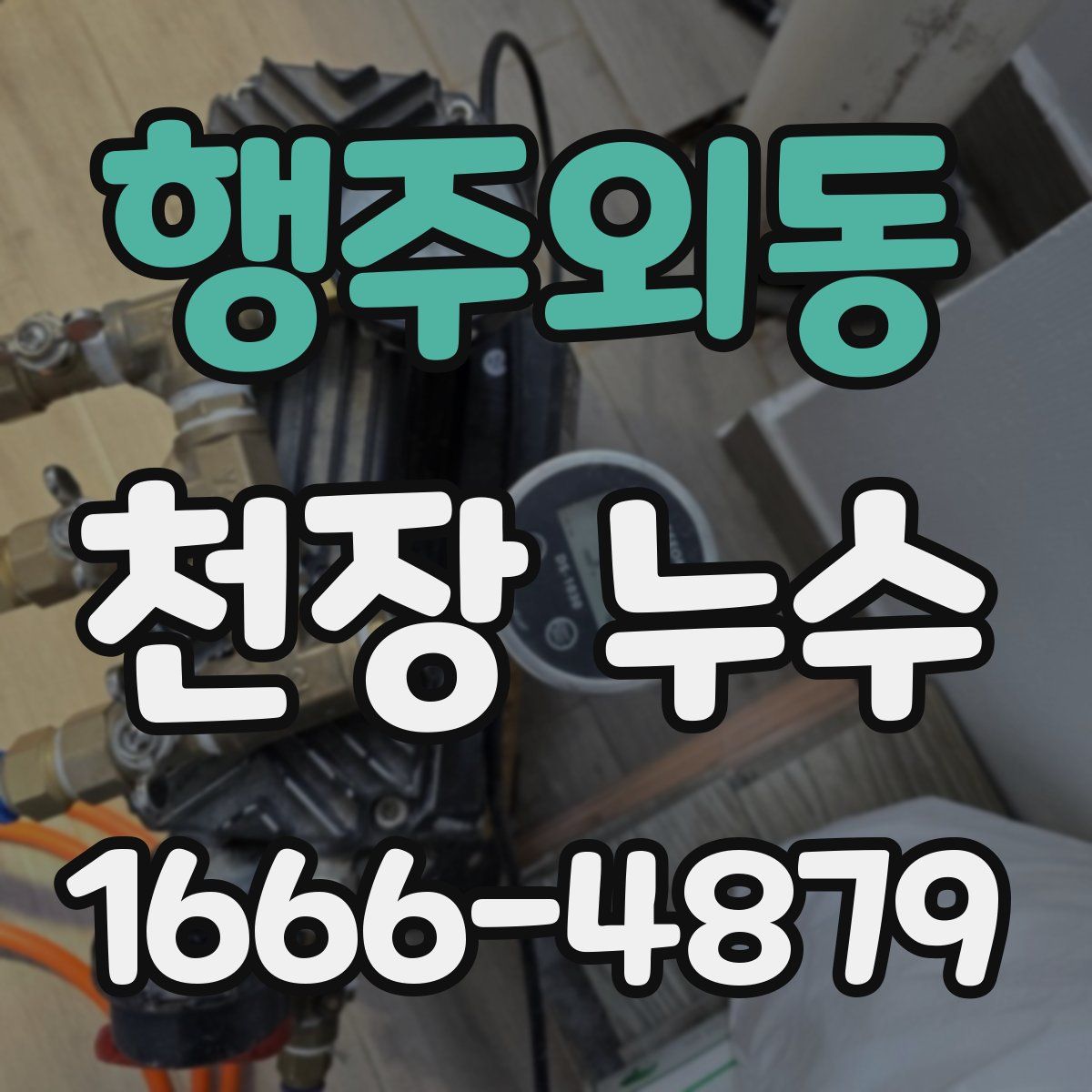 행주외동 천장 누수