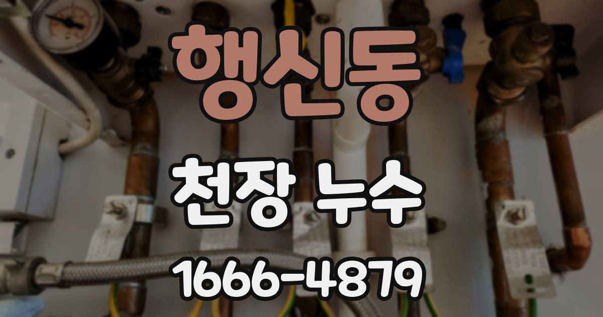 행신동 천장 누수