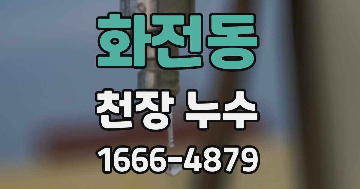 화전동 천장 누수