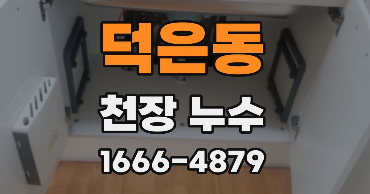 덕은동 천장 누수