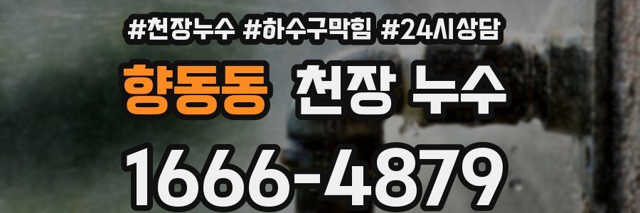 향동동 천장 누수