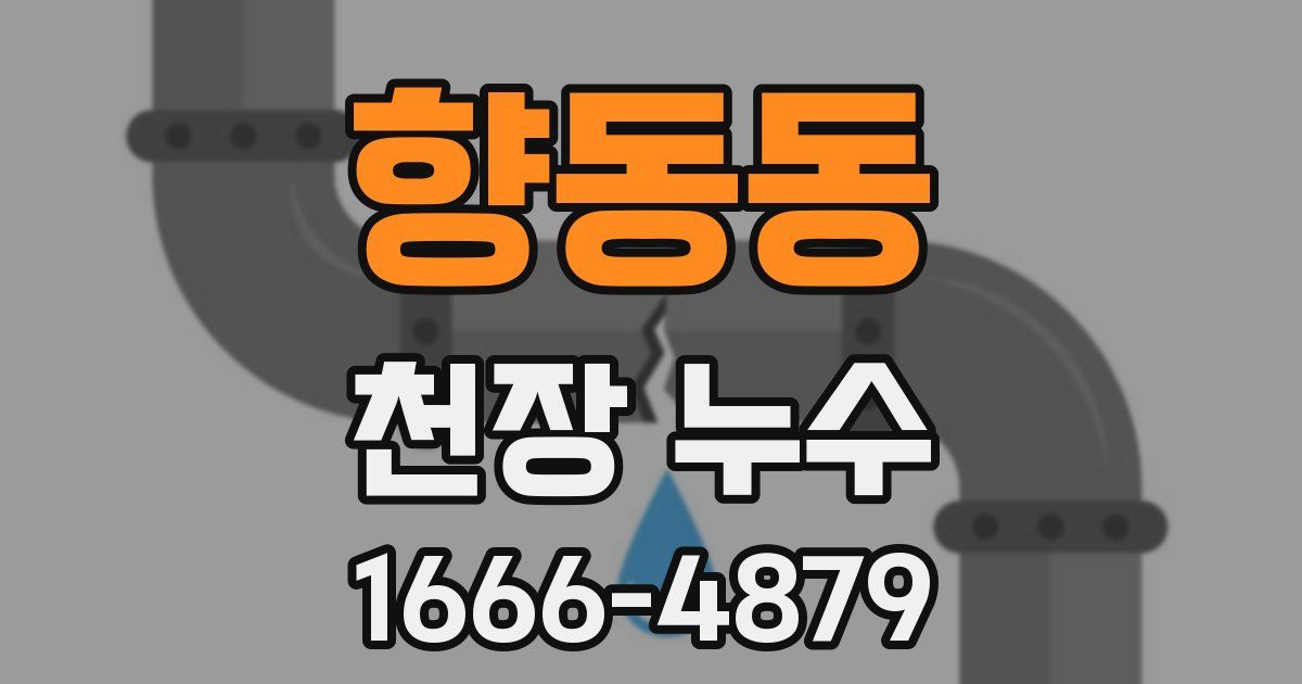 향동동 천장 누수