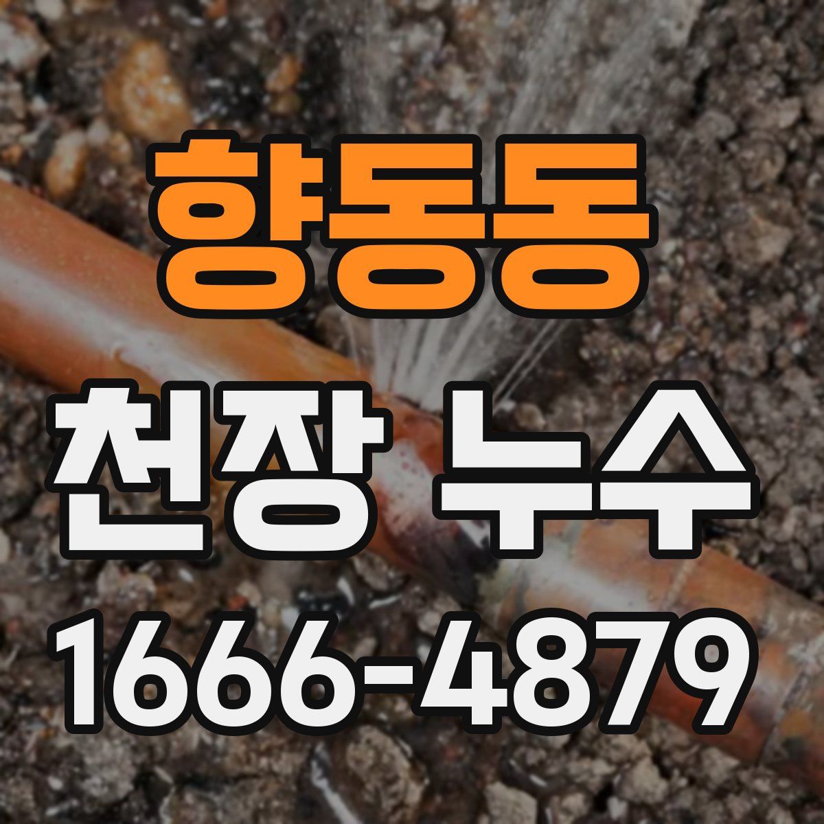 향동동 천장 누수