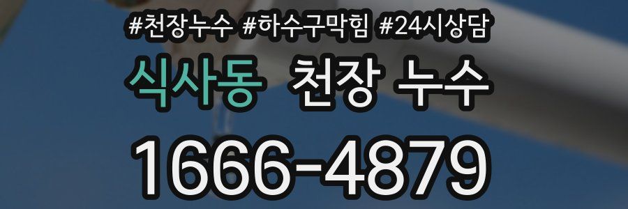 식사동 천장 누수