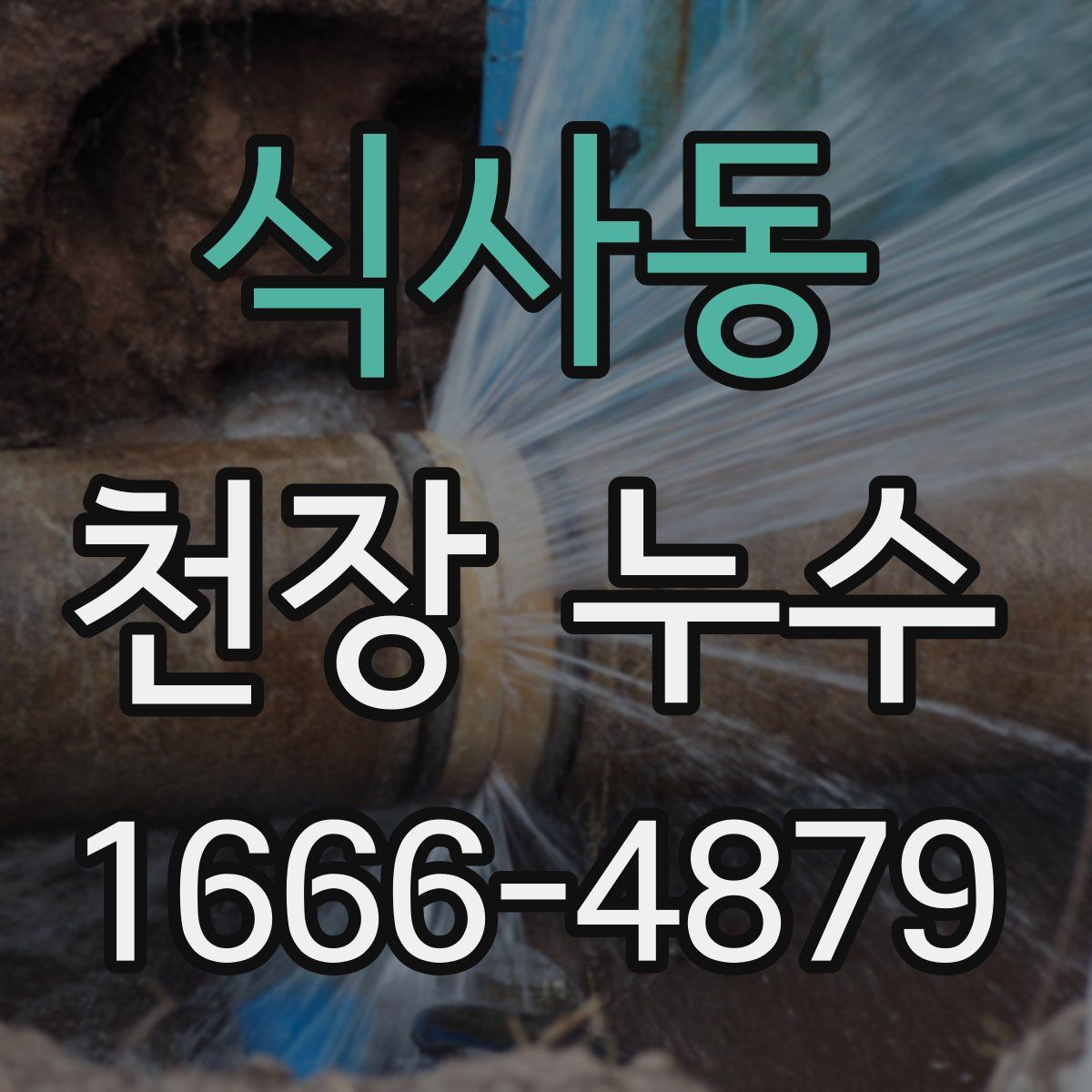 식사동 천장 누수