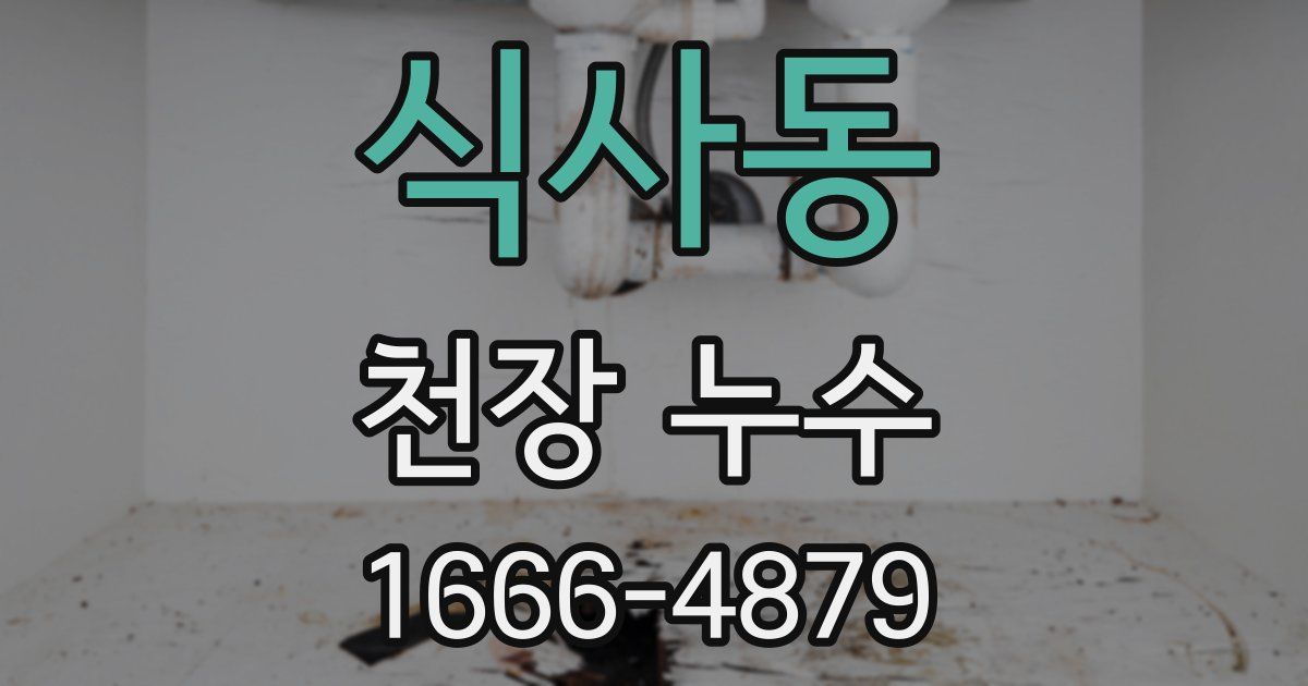 식사동 천장 누수