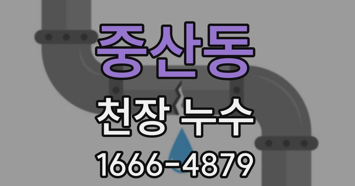 중산동 천장 누수