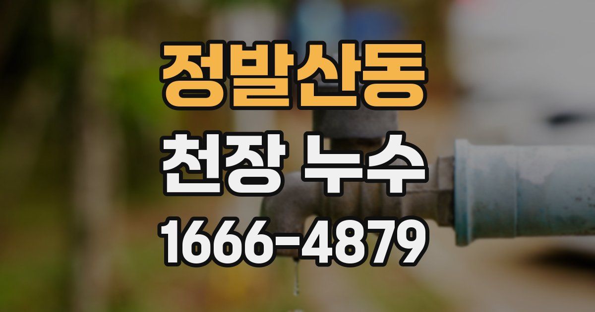 정발산동 천장 누수