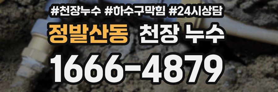 정발산동 천장 누수