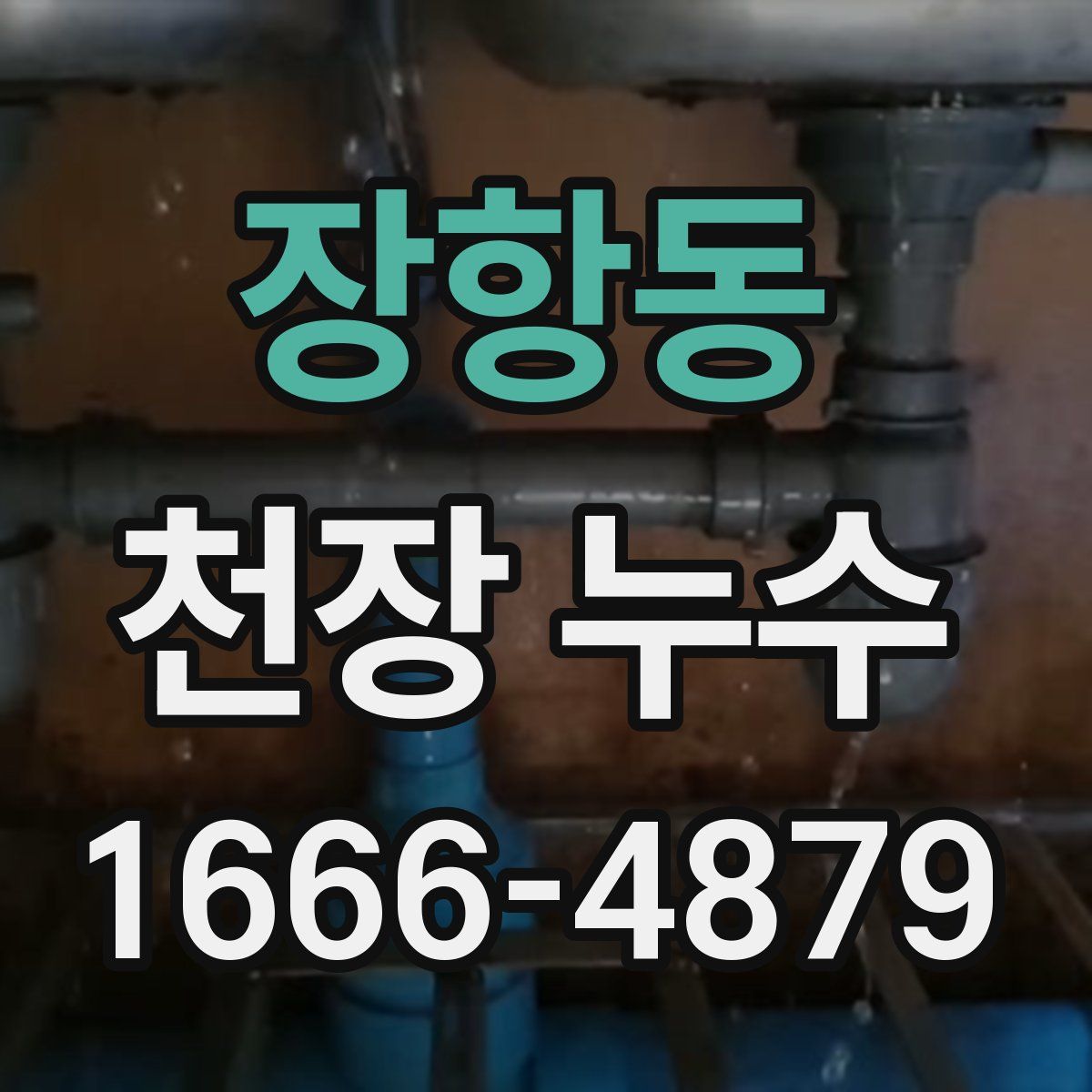 장항동 천장 누수