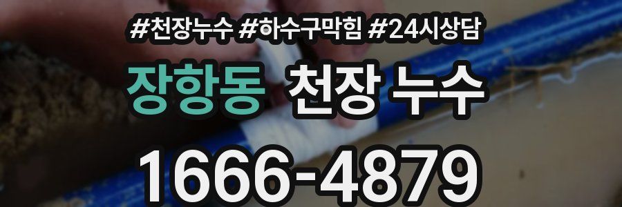 장항동 천장 누수