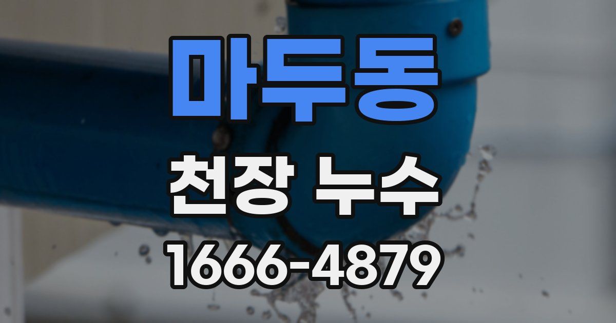 마두동 천장 누수
