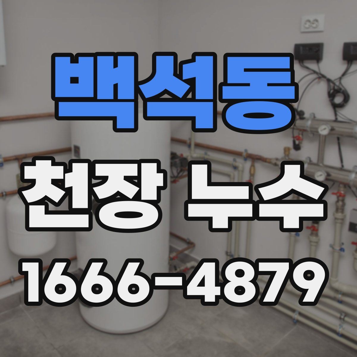 백석동 천장 누수 물자국이 한밤중에만 진해지는 이유