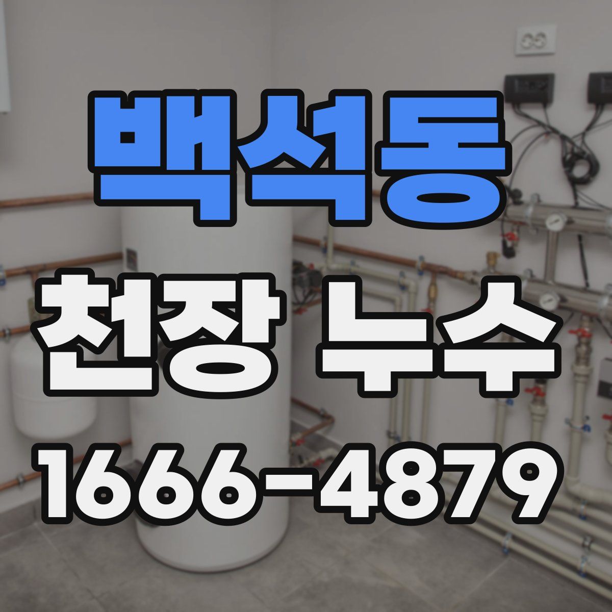 백석동 천장 누수