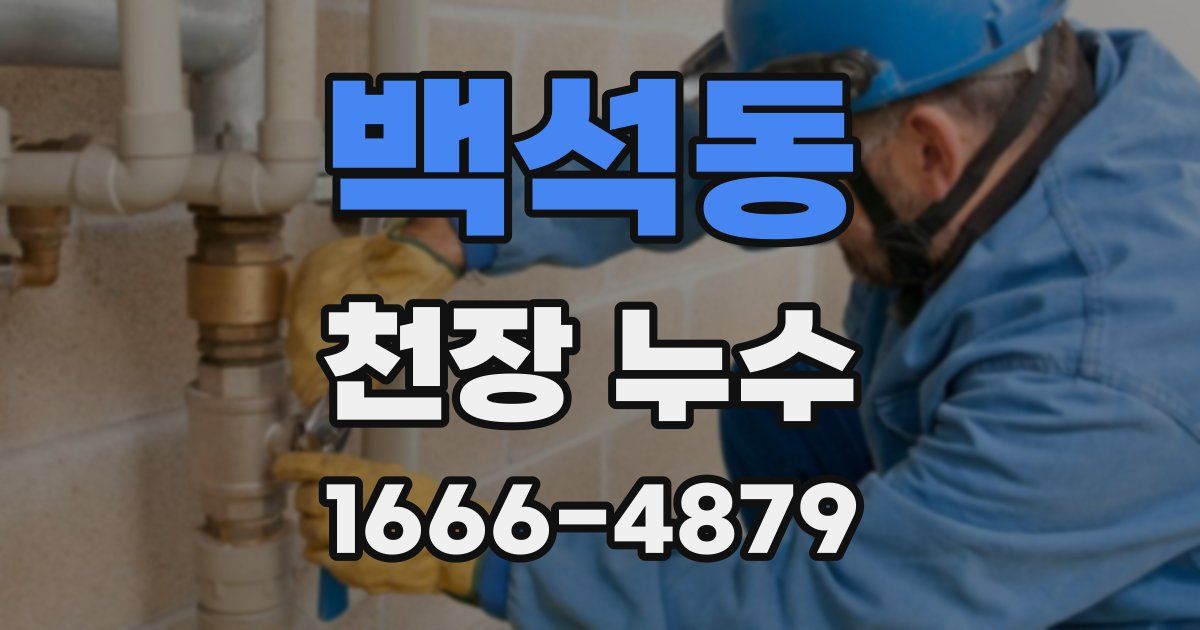 백석동 천장 누수