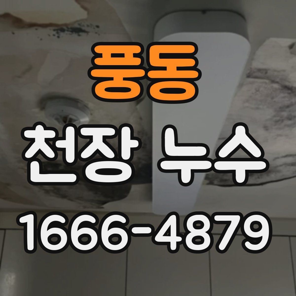 풍동 천장 누수 천장 모서리 곰팡이가 갑자기 늘었다면