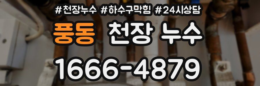 풍동 천장 누수