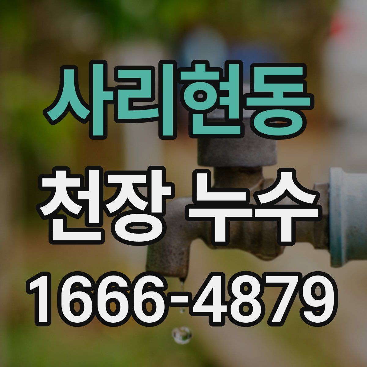 사리현동 천장 누수 배관 누수의 차이 정리