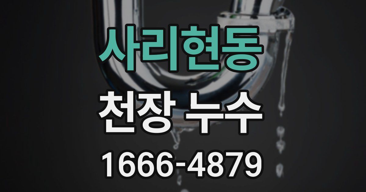 사리현동 천장 누수