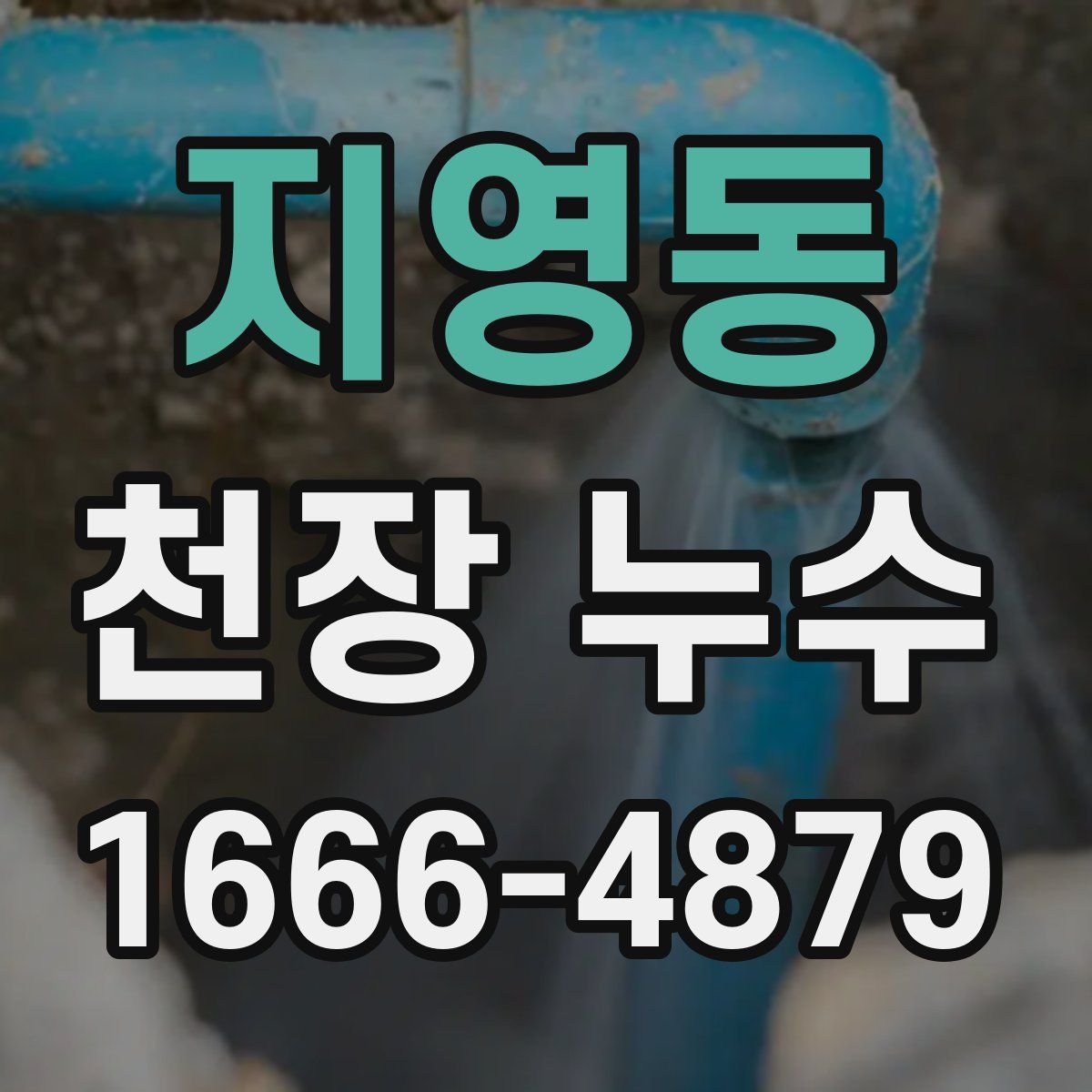 지영동 천장 누수