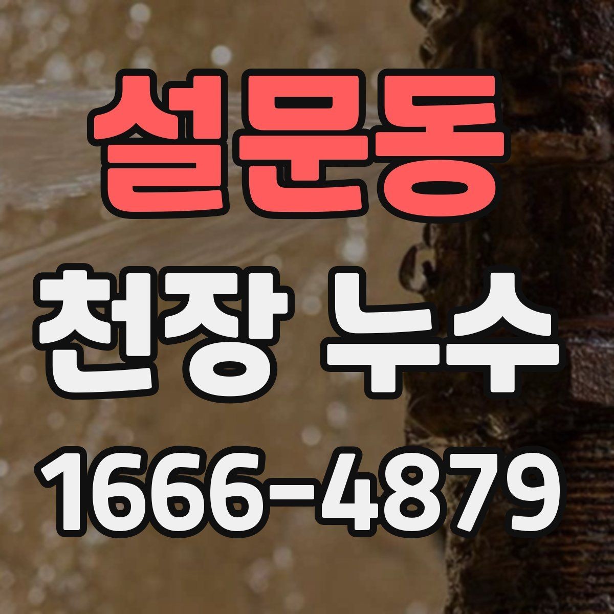 설문동 천장 누수 얼룩이 길게 흐르면 유입 경로가 다를 수 있어요
