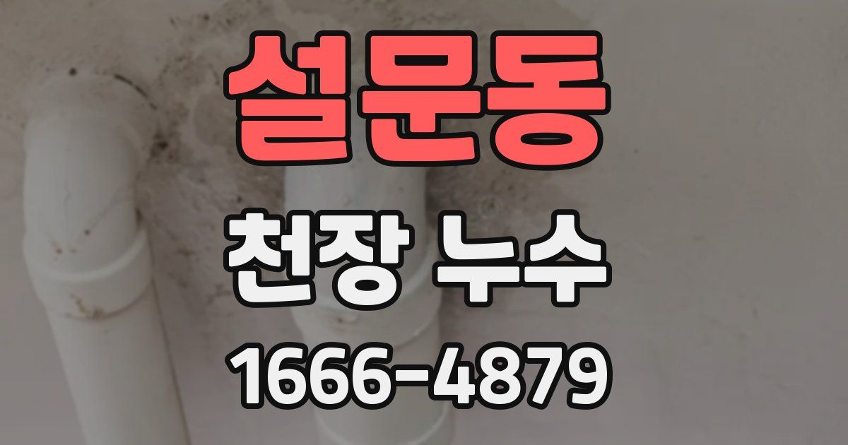 설문동 천장 누수