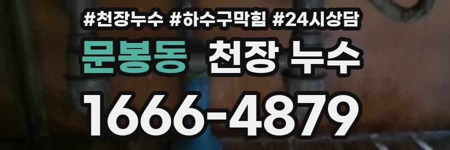 문봉동 천장 누수