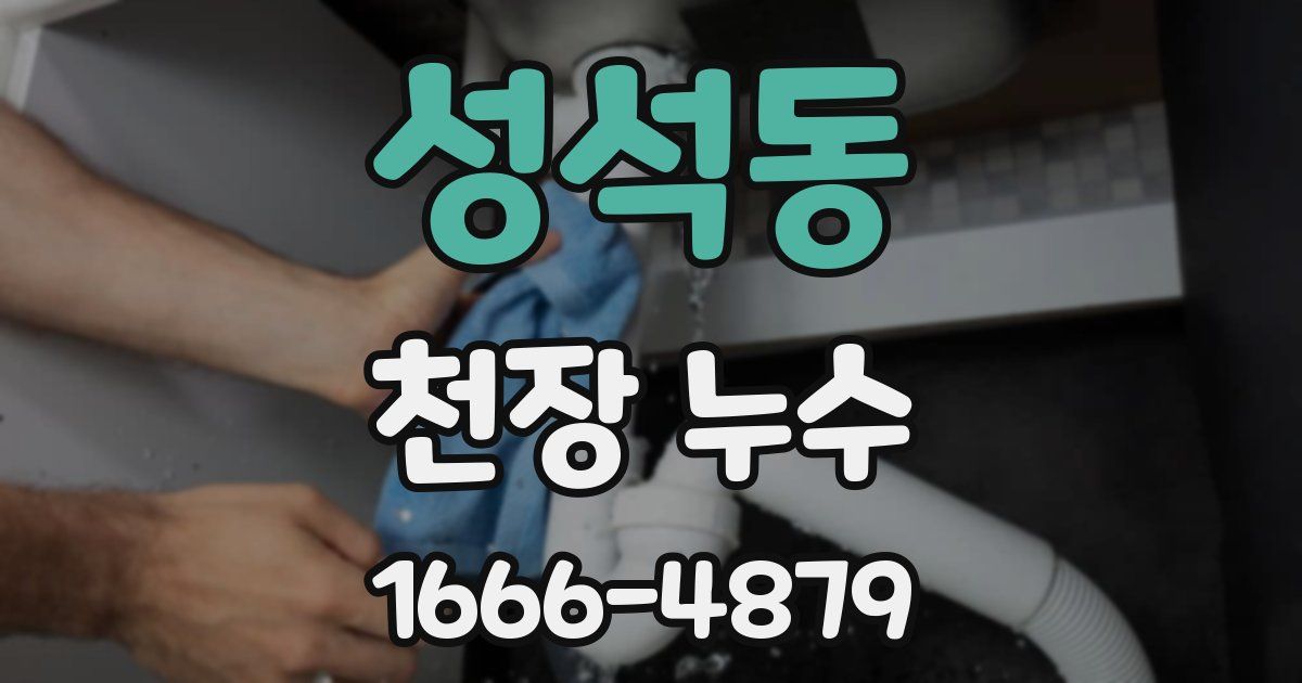 성석동 천장 누수