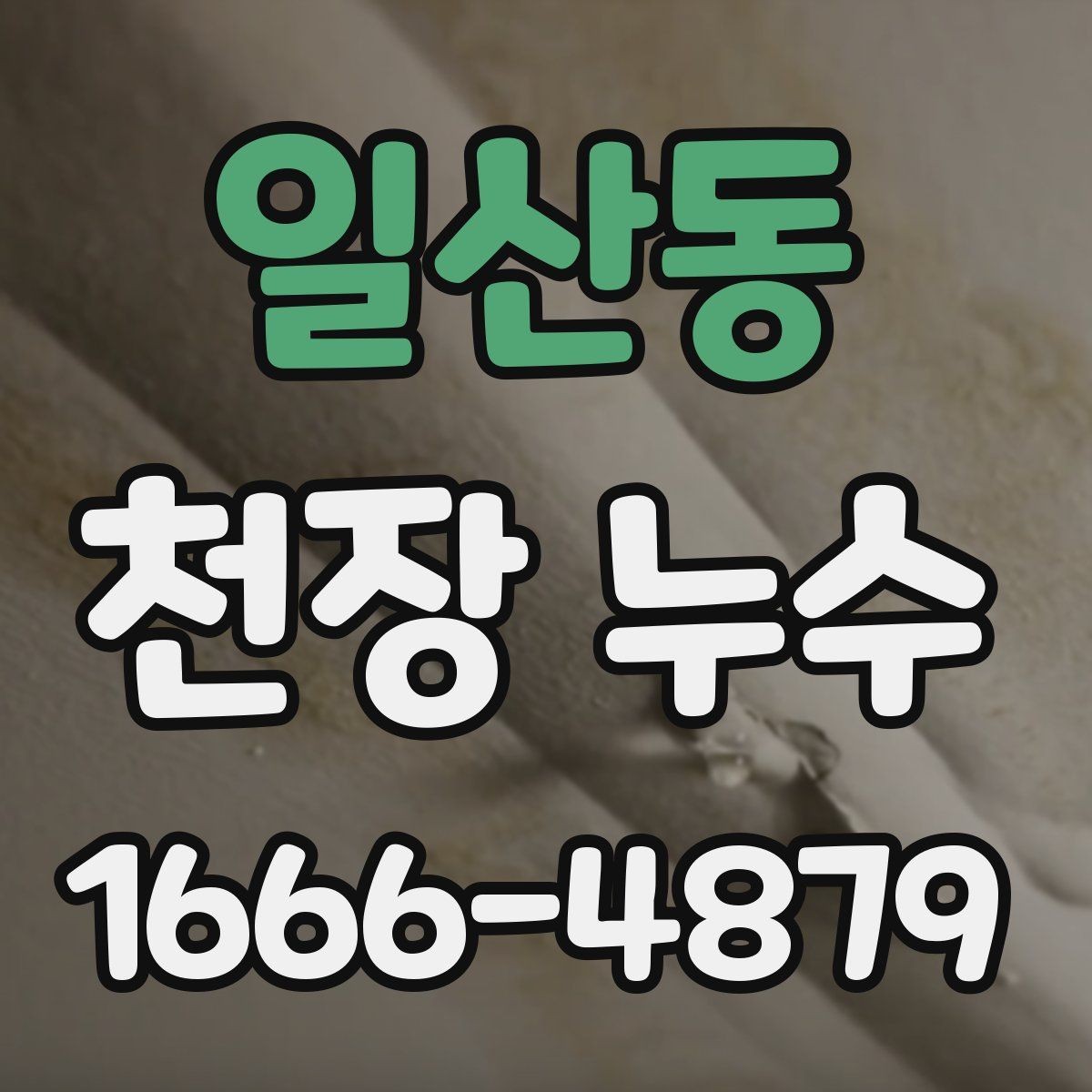 일산동 천장 누수 물이 흐르기 전 미리 잡기