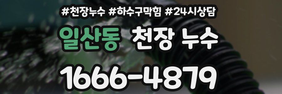 일산동 천장 누수