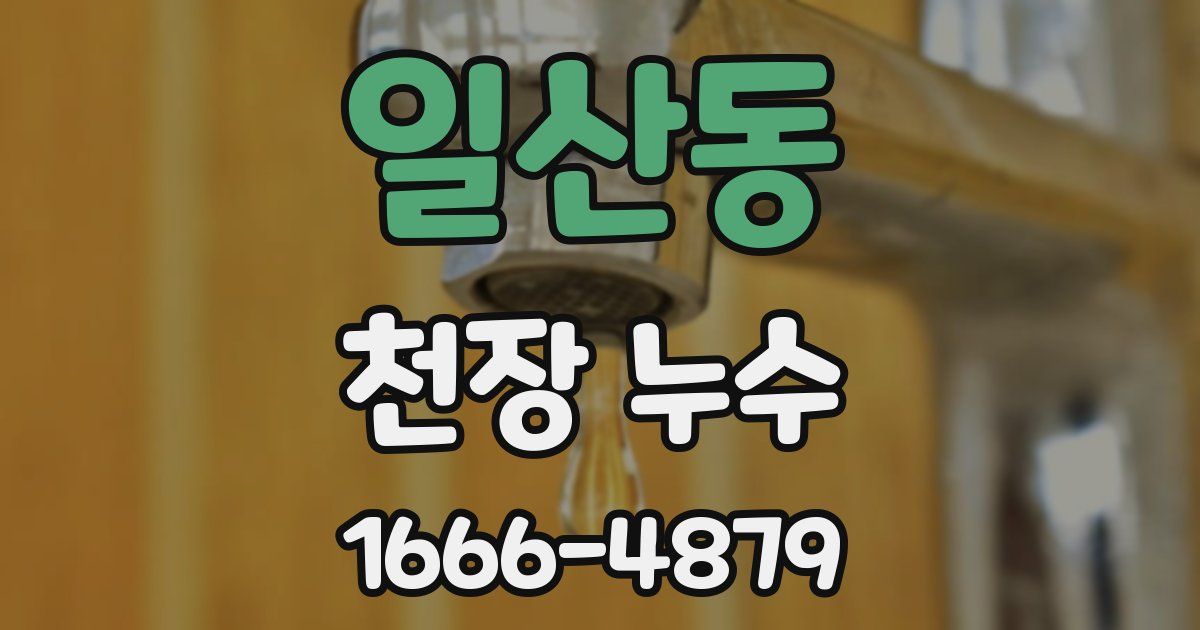 일산동 천장 누수