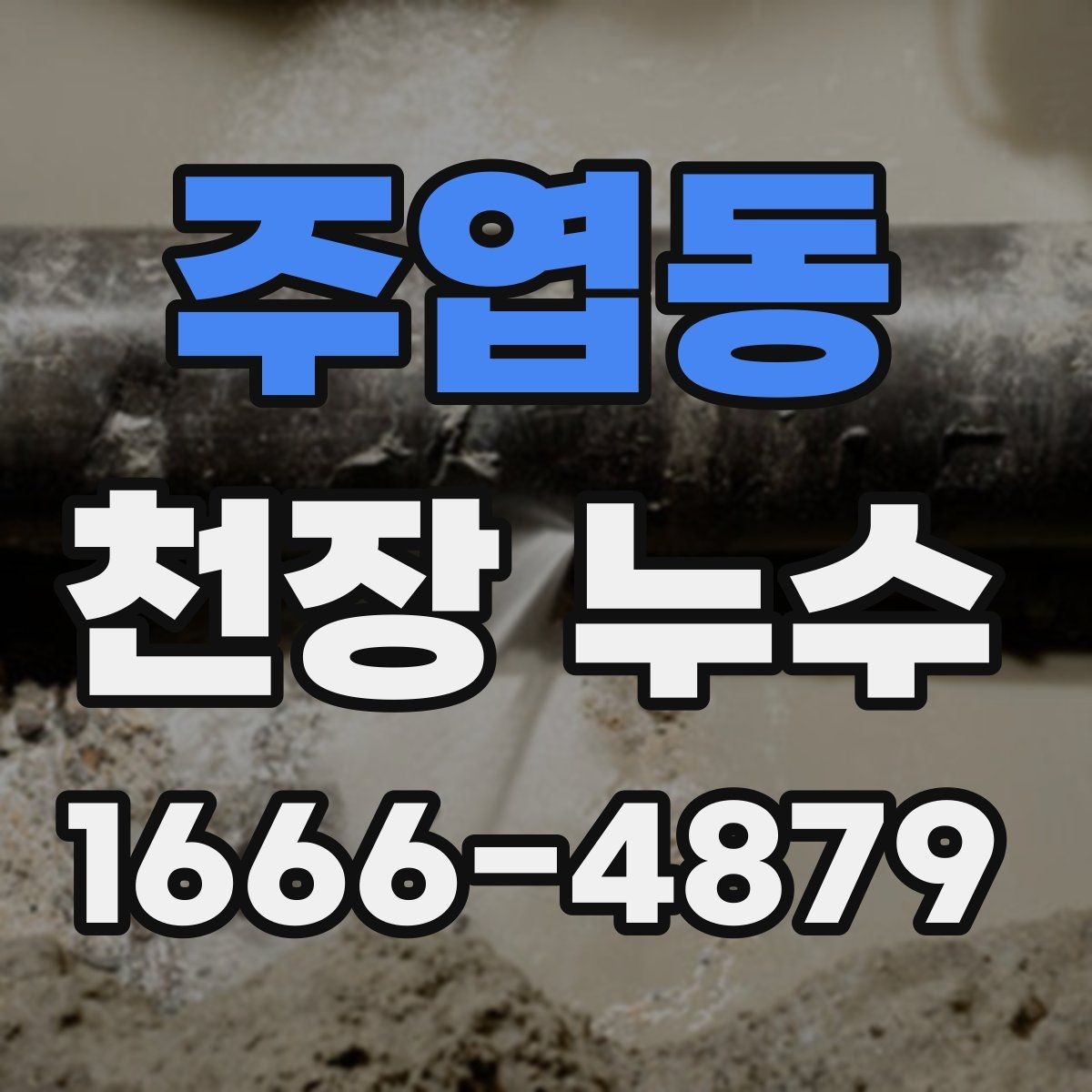 주엽동 천장 누수 천장 누수, 작은 신호부터 놓치지 마세요