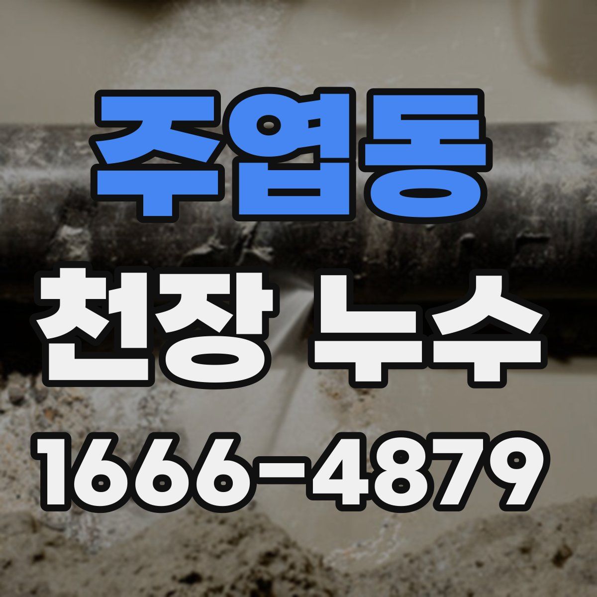 주엽동 천장 누수