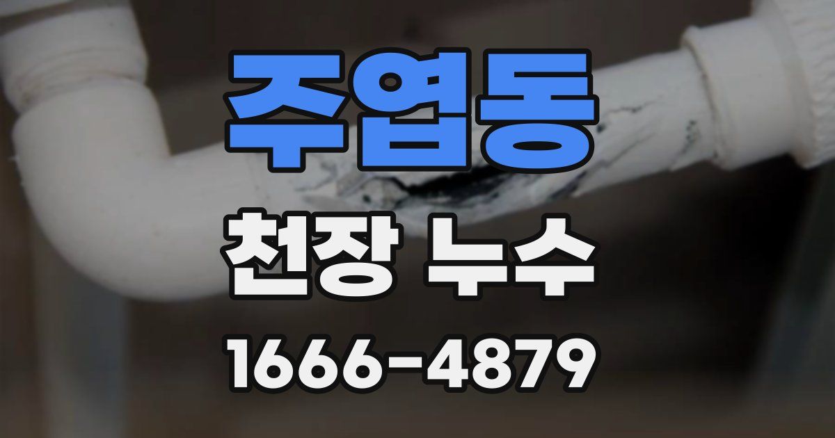 주엽동 천장 누수