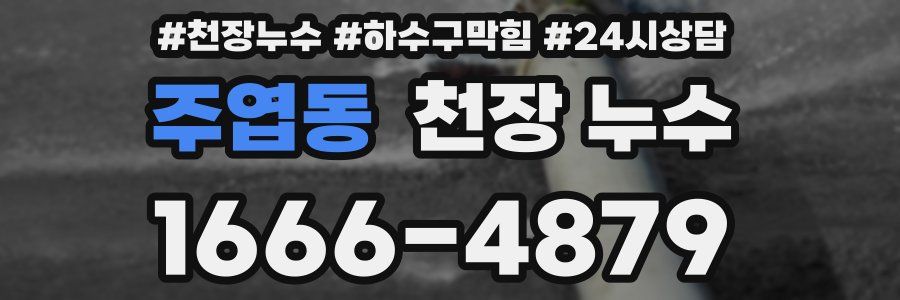 주엽동 천장 누수