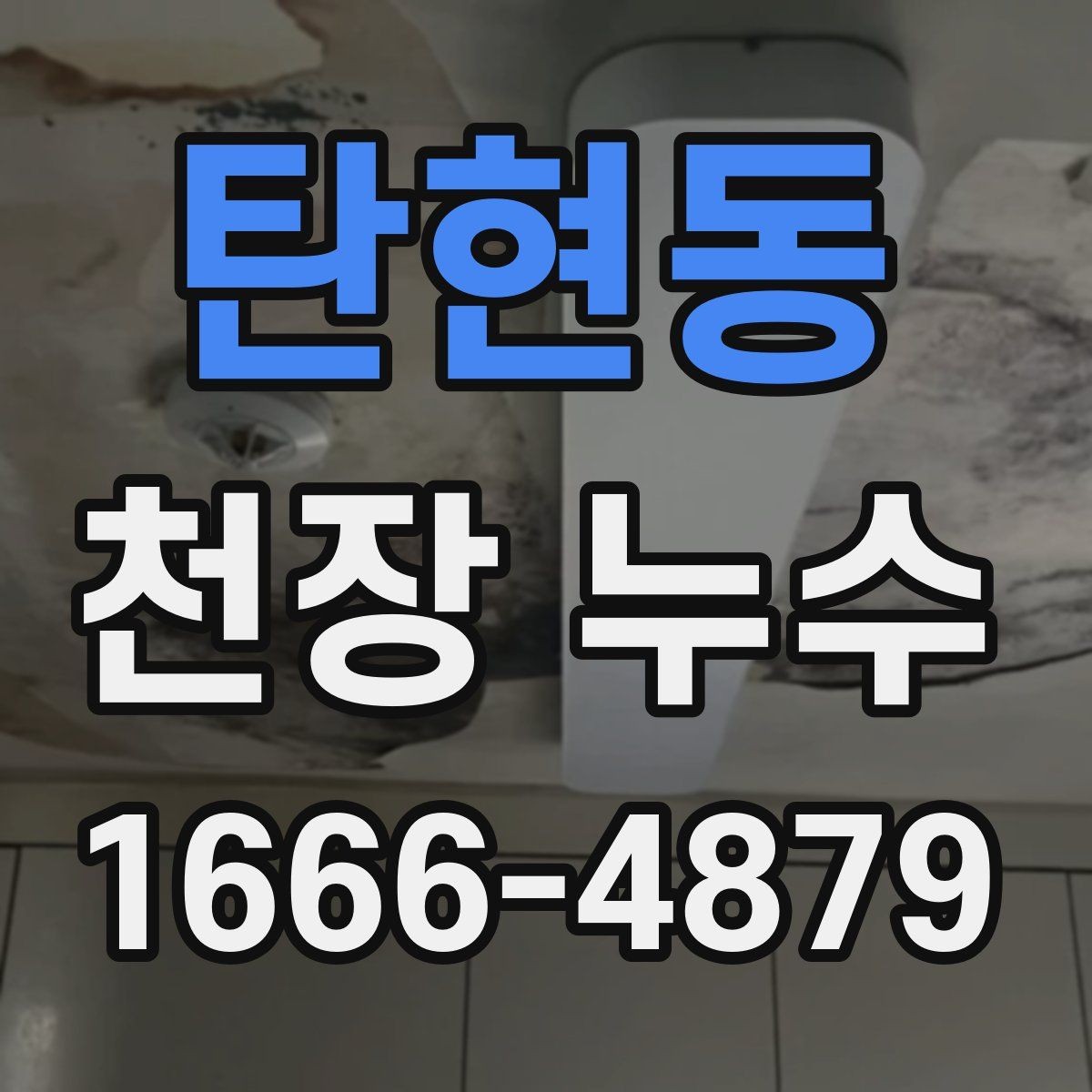 탄현동 천장 누수 물이 흐르기 전 미리 잡기