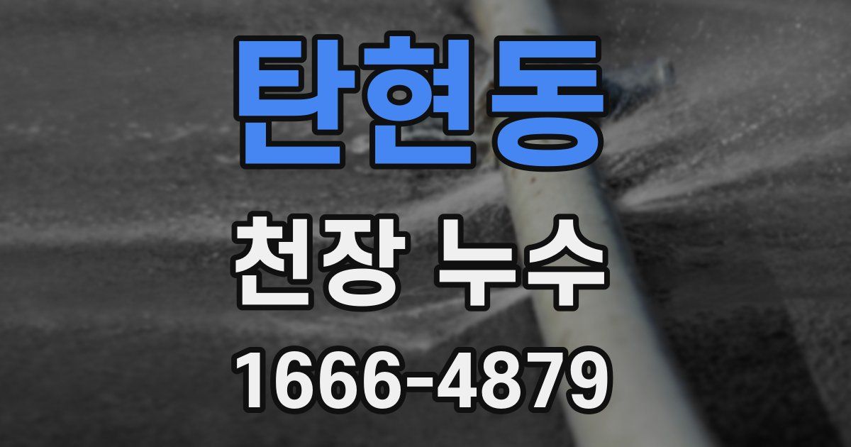 탄현동 천장 누수